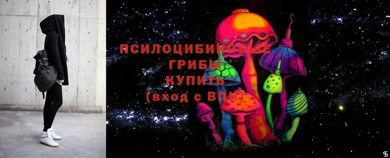 Галлюциногенные грибы Magic Shrooms  наркошоп  kraken ССЫЛКА  Льгов 